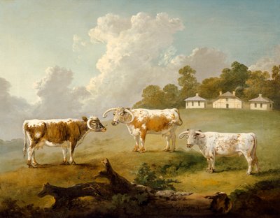 Tre bovini a lunga corna nel paesaggio da Julius Caesar Ibbetson