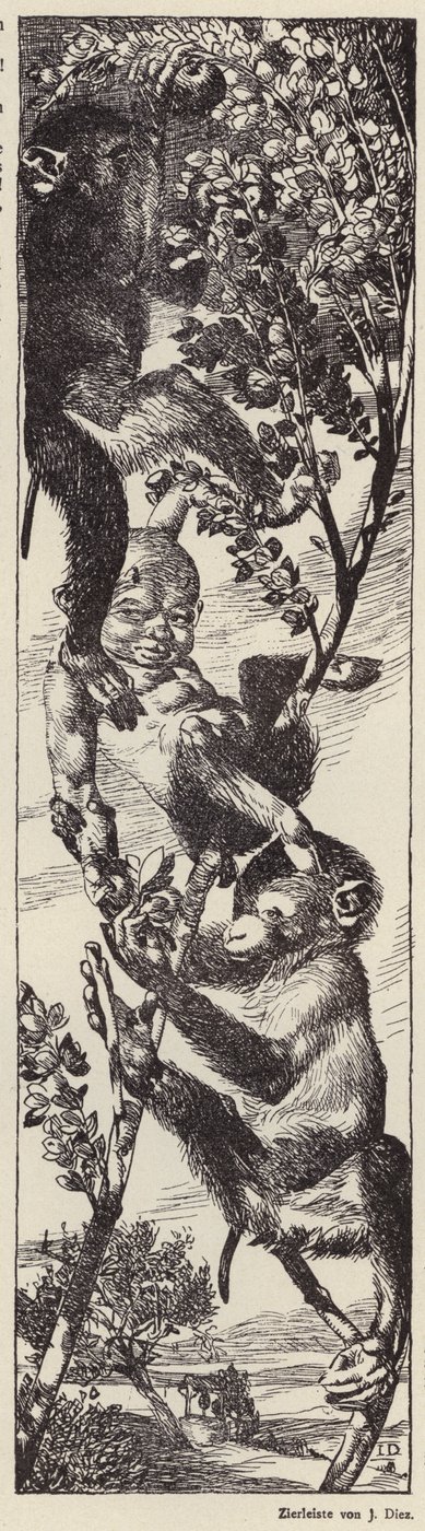 Scimmie che raccolgono frutta su un albero (litografia) da Julius Diez