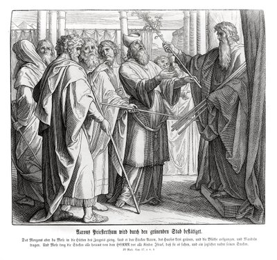 Il sacerdozio di Aronne è confermato, Numeri da Julius Schnorr von Carolsfeld