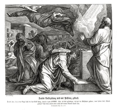 Davide è punito per aver contato il popolo, 2 Samuele da Julius Schnorr von Carolsfeld