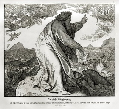 Quinto giorno della creazione, Genesi da Julius Schnorr von Carolsfeld