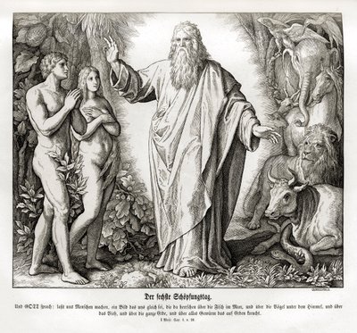 Sesto giorno della creazione, Genesi da Julius Schnorr von Carolsfeld