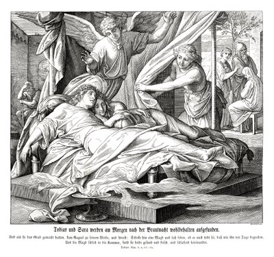 Tobia e Sara sono trovati sani e salvi, Libro di Tobia da Julius Schnorr von Carolsfeld
