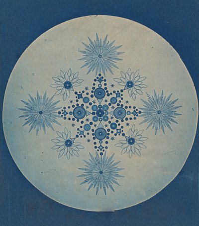 Frustuli di diatomee, ca. 1870 da Julius Wiesner.