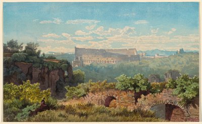 Il Colosseo visto dal Palatino da Julius Zielke