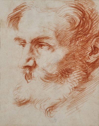 Testa di uomo barbuto da Jusepe de Ribera