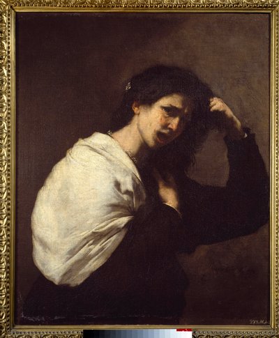 Donna che si strappa i capelli da Jusepe de Ribera