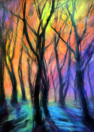 Luci della foresta incantata da Justyna Jaszke