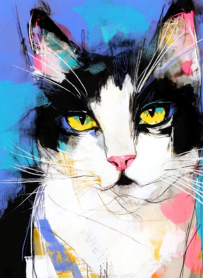 Gatto Tuxedo dai colori vivaci da Justyna Jaszke