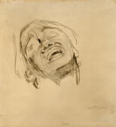 Testa di donna da Käthe Kollwitz
