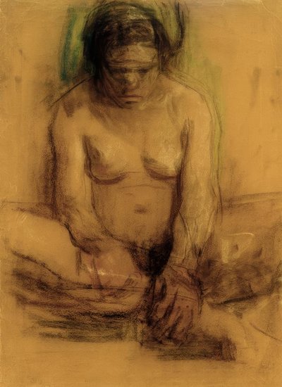 Nudo femminile seduto da Käthe Kollwitz