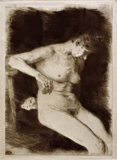 Nudo femminile seduto da Käthe Kollwitz