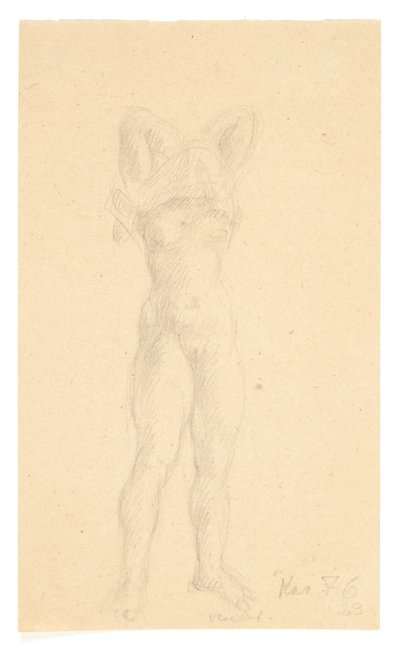 Ragazza in piedi che solleva la camicia sopra la testa da Kai Nielsen