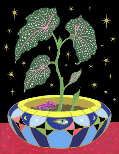 Begonia in un vaso, 2021 da Kam Tsz