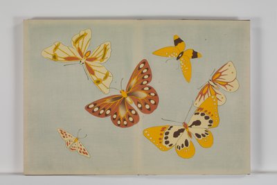 Chō senshu (Mille tipi di farfalle), Volume 1 da Kamisaka Sekka