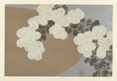 Crisantemi da Kamisaka Sekka