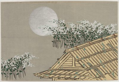 Fiori di cento mondi (Momoyogusa): Fiori d
