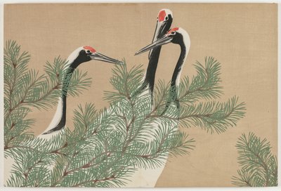 Fiori di Cento Mondi (Momoyogusa): Gru (Tsuru) da Kamisaka Sekka