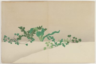 Fiori di Cento Mondi (Momoyogusa): Sette Erbe della Prima Primavera (Nanagusa) da Kamisaka Sekka