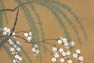 Yanagi Sakura, da Momoyo-gusa da Kamisaka Sekka