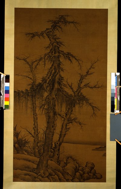 Vecchi alberi, bambù e rocce, circa 1300 da Kan Li