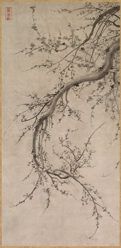 Prunus da Kano Ein