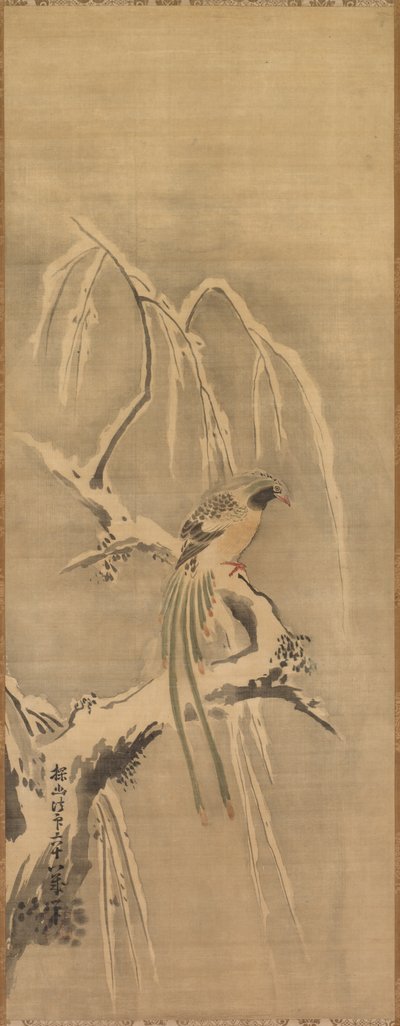 Uccello cinese su ramo carico di neve, XVII secolo da Kanō Tan’yū