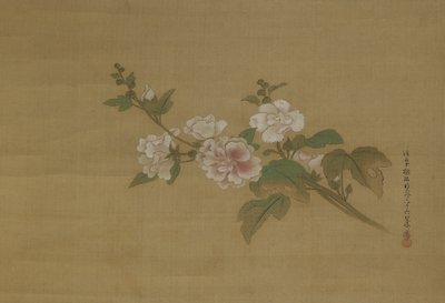 Un ramo di ibisco in fiore, Periodo Edo da Kano Tanyu
