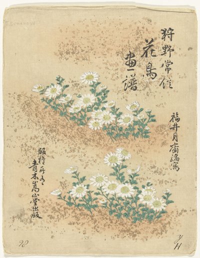 Indice da Kano Tsunenobu