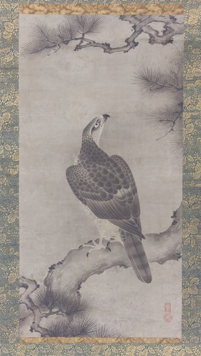 Falco su un pino, XVI secolo da Kano Yukinobu