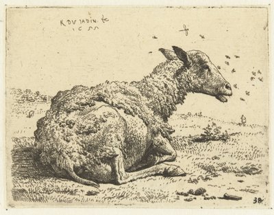 Pecora sdraiata con mosche da Karel Du Jardin