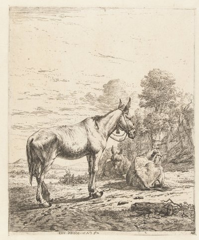 Mulo con campanello alla cavezza e due asini sdraiati da Karel Du Jardin