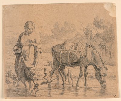 La contadina e il somaro che attraversano un ruscello da Karel Du Jardin