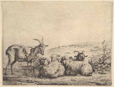 Due capre e tre pecore, 1655 da Karel Du Jardin