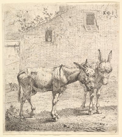 Due asini in un cortile erboso, uno in vista di profilo rivolto a destra e un altro dietro, 1652 da Karel Du Jardin