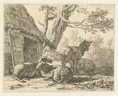 Quattro pecore da Karel Du Jardin