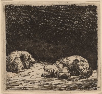 Cane e Gatto da Karel Dujardin