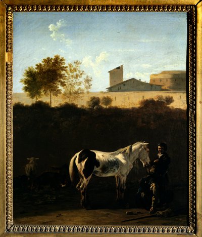 Paesaggio d