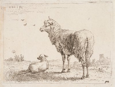 Pecora con agnello da Karel Dujardin