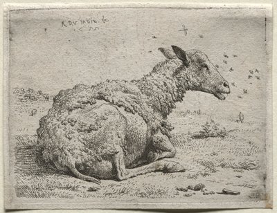 Le pecore e le mosche da Karel Dujardin