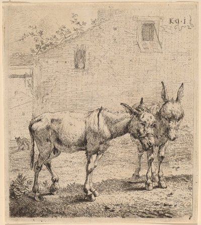Due asini da Karel Dujardin