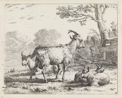  da Karel Dujardin