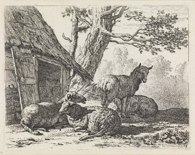  da Karel Dujardin