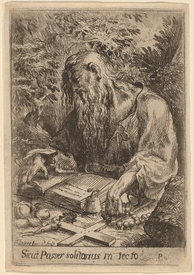 Un Santo Eremita da Karel Frantisek Töpper