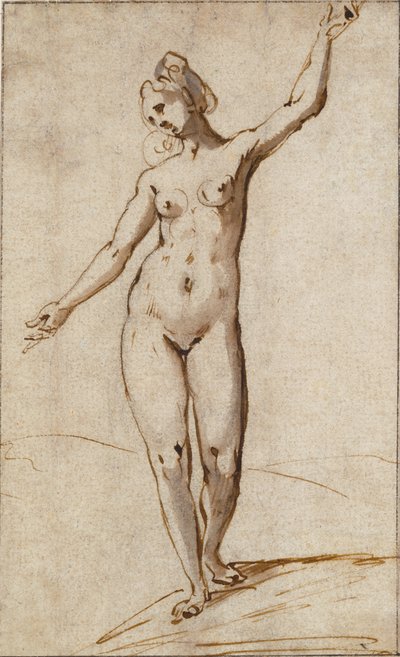 Nudo femminile da Karel Van Mander