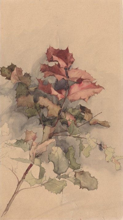 Studio del cespuglio da Karel Vitezslav Masek