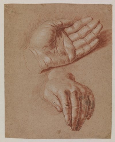 Studi di due mani da Karel van III Mander