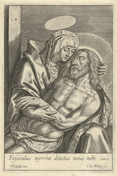 Pietà da Karel van Mallery