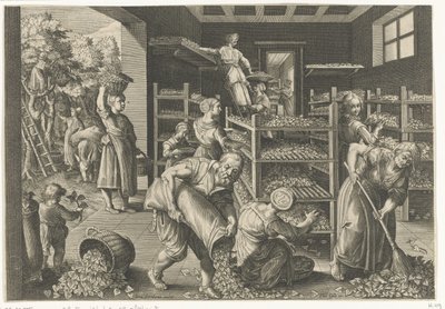 Raccolta di foglie di gelso e alimentazione dei bachi da seta da Karel van Mallery
