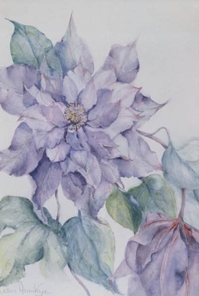 Clematide, Lord Neville da Karen Armitage